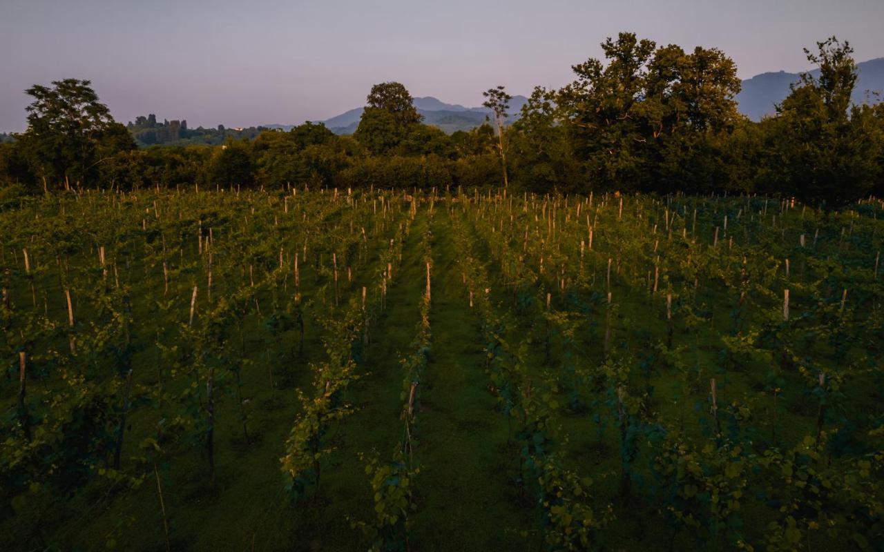 Menabde Winery Ozurget'i Exterior foto